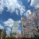 ＫｏＨａ錦糸町（こは錦糸町） 