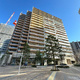 ＨＡＲＵＭＩ　ＦＬＡＧ　ＰＡＲＫ　ＶＩＬＬＡＧＥ　Ｃ棟 