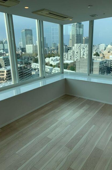 ＴＨＥ　ＲＯＰＰＯＮＧＩ　ＴＯＫＹＯ　ＣＬＵＢ　ＲＥＳＩＤＥＮＣＥ 