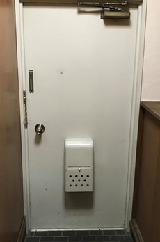 メゾンドール代々木 
