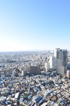 ザ・パークハウス西新宿タワー６０ 