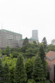 リンデンコート市ヶ谷 