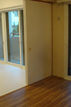 ＳＯＣＩＥＴＹ　ＫＡＫＩＮＯＫＩＺＡＫＡ　ＡＮＮＥＸ 