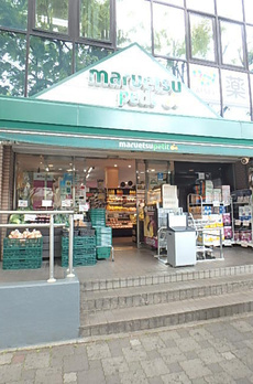 ガーラ大井町グランドステージ 