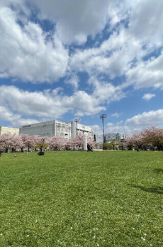 ＫｏＨａ錦糸町（こは錦糸町） 