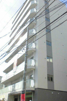 ＭＯＤＩＥＲ　ＹＯＹＯＧＩ 