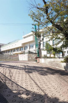 ＭＯＤＩＥＲ　ＹＯＹＯＧＩ 