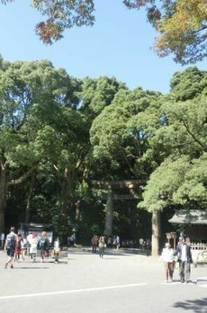 パークコート神宮前 