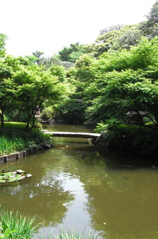 池田山スイート 
