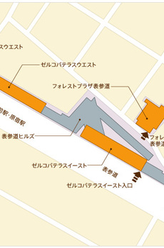 表参道ヒルズゼルコバテラスＥ 
