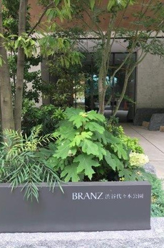 ブランズ渋谷代々木公園 