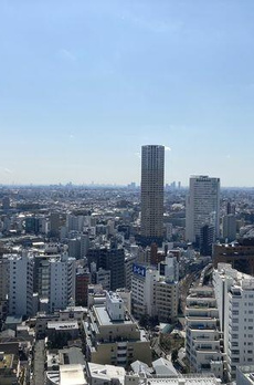 代官山アドレスザ・タワー 