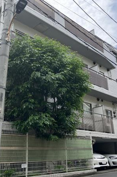 ファミール南青山ブランカ 