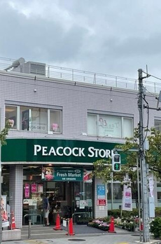パークホームズ深沢七丁目 