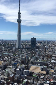 ブリリアタワー東京 