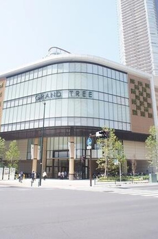 ＴＨＥ　ＫＯＳＵＧＩ　ＴＯＷＥＲ 