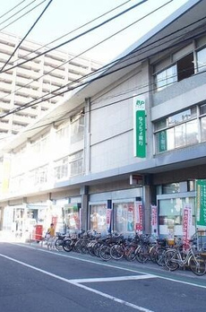 ＴＨＥ　ＫＯＳＵＧＩ　ＴＯＷＥＲ 