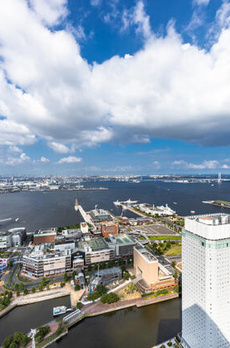 ザ・タワー横浜北仲 