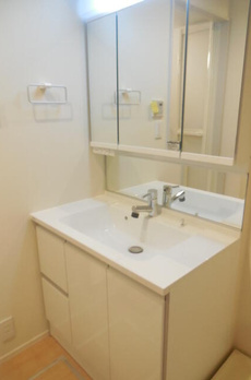 Ｒｏｓｙ　Ｒｅｓｉｄｅｎｃｅ　Ｓｈｉｒｏｋａｎｅ 