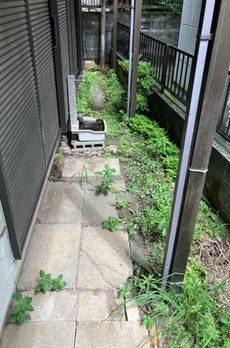 貫井戸建 