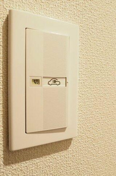 プルメリア 