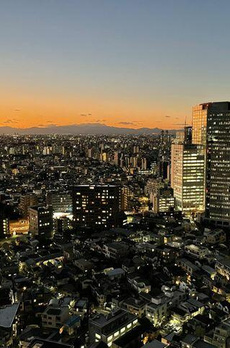 ザ・パークハウス　西新宿タワー６０ 