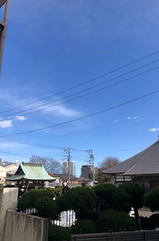 パールハイツ高輪Ⅱ 