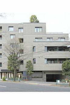 南青山豊田パークマンション 