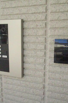 ＨＥＢＥＬ　ＳＨＩＭＯＫＩＴＡ 