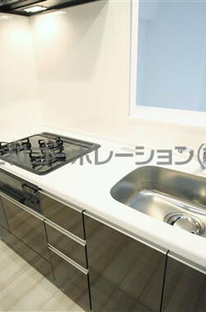 イルミナーレ学大 