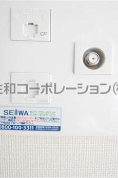 イルミナーレ学大 