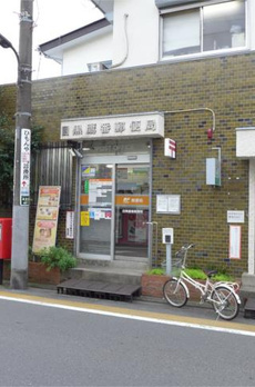 イルミナーレ学大 