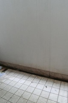 レジデンス白金コローレ 