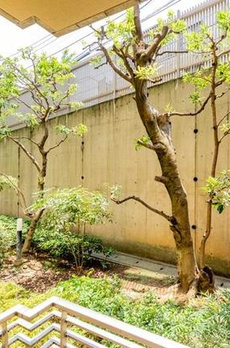 参宮橋マンション 