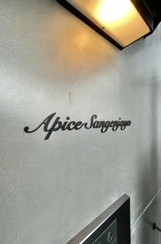 Ａｐｉｃｅ　Ｓａｎｇｅｎｊａｙａ 