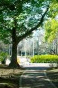 プレミスト明石町 