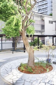 ＢＡＺＡＫＩ　ＫＡＮ 