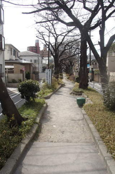 カーサ柿の木坂 