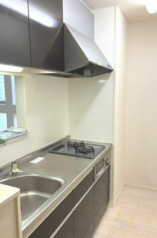 ＰＩＳＯ　ＡＲＣＥ　Ｓｈｉｎａｇａｗａ 