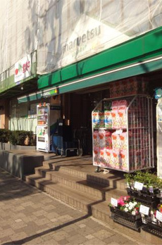 Ｉｒｉｓ西大井 