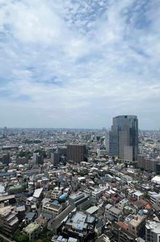 ザ・パークハウス　西新宿タワー６０ 