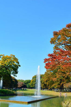 Ｐｒｅｖｅｒ　　参宮橋 