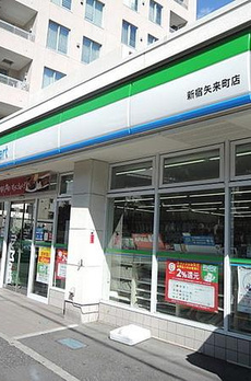 ザ・フィガロ市ヶ谷 