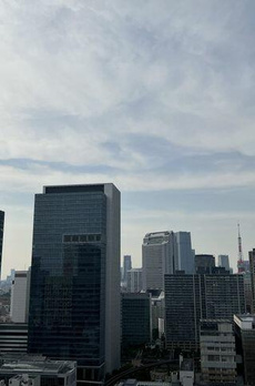 ブランズタワー芝浦 