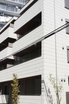 ペルフェホーネ 