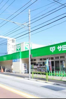 グリッシーナ 