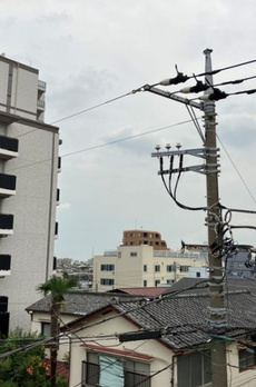 新井戸建 