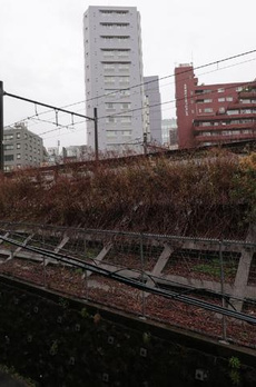 ムジーク北参道 
