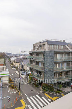 桜樹高山 