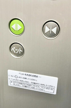 プレール・ドゥーク菊川 